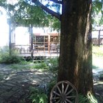 MOKICHI TRATTORIA - 中庭から見たお店