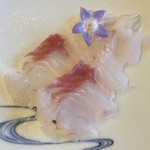 徳山鮓 - イワトコナマズ