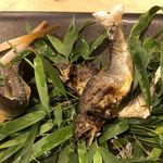 徳山鮓 - 天然鮎