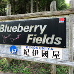 Blueberry Fields 紀伊國屋 - 