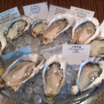 オストレア 銀座8丁目店 - きれいに盛り付けられた牡蠣