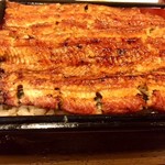 鰻 むさし乃 - 新仔鰻重/大盛