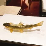 旬彩天 つちや - 