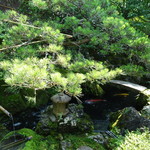 Koudaijirakushou - 池のあるお庭