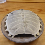 柚木元 - スッポンの甲羅の下には