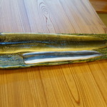 柚木元 - ９００ｇの天然（海）鰻と養殖ウナギ