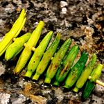 鳥さわ22 - 金針菜