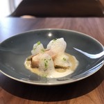 ル スプートニク - 