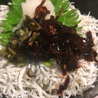 北陸料理 新越 - しらす丼