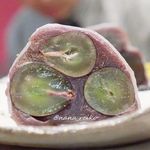 立呑み とだか - シャインマスカットの大福