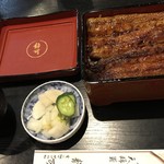 Unagi Shizuka - 