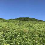 松仙館 山のカフェ - 新緑と青空のGOODロケーション
