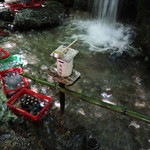 西寺水神公園そうめん流し - 滝の音がBGMなのは、なかなか趣がある｡(*￣ω￣)　滝の水で冷やした「ラムネ」「ジュース」150円は､ 風情があってウマそうだった。