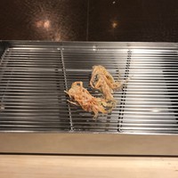 てんぷら山の上 Ginza - 海老からスタート！
