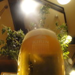 菩提樹 - 目の前の観葉プラントにかざす