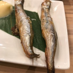 大衆昭和居酒屋 関内の夕焼け一番星 関内酒場 - 