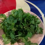 Mana Pochana - 山盛りパクチー