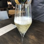 GARB pintino - シャンパン