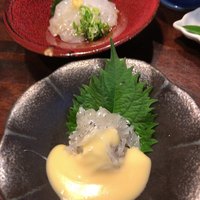 土佐料理 司 高知本店 - 