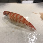 すし処　津ごう - 車海老