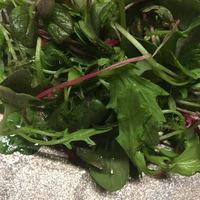 TACUBO - 