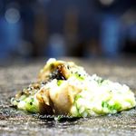 TACUBO - サザエと岩のりのリゾット