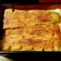 五代目 野田岩 麻布飯倉本店 - 鰻重