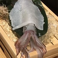 鯖とか烏賊とか真とか - 