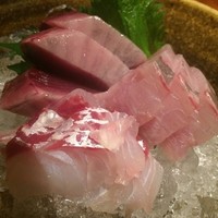 銀平 北新地店 - 