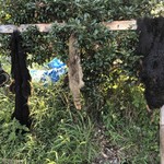 かたつむり - 熊と狸の毛皮