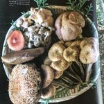 かたつむり - 掲載雑誌