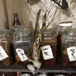 かたつむり - 保存している木の実類