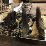 かたつむり - 熊の爪とハクビシンのしっぽ