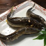 かたつむり - 天然鮎