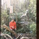 かたつむり - 掲載雑誌