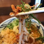 Marugame Seimen - 