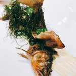 レフェルヴェソンス - 