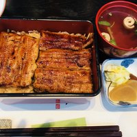 うなぎ藤田 白金台店 -  うなぎ藤田 白金台店 -