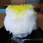 氷問屋 野澤屋 - かき氷　レモン