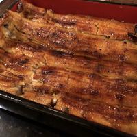 うなぎ割烹 大江戸 - 