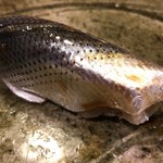 うを徳 - 天草産小鰭