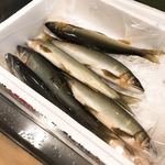 うを徳 - 見せ鮎