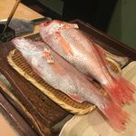 うを徳 - 見せ赤モツ