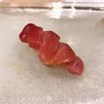 うを徳 - ⑧佐渡本鮪大トロ