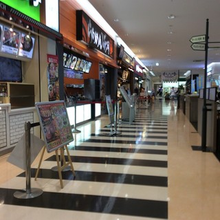 フェスティブコート_1