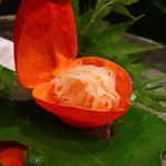 祇園もりわき - ジャガイモととびこのハリハリ