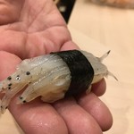 すし処 くりはら - 白魚