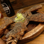 コウモリの羽 - 