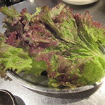 薬膳もつ鍋 ホルモンはなけん - 