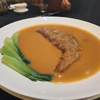 スーツァン・レストラン陳 渋谷店 - 気仙沼産毛鹿ザメ尾ビレの煮込み